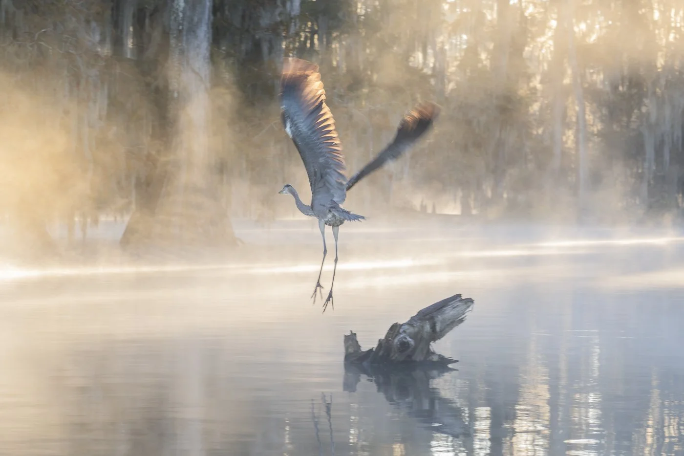 i_Bayou 9.jpg