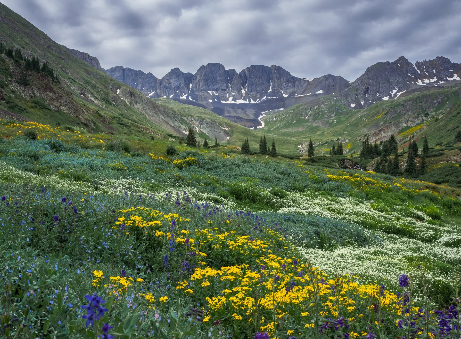 A scenic mountain valley with colorful wildflowers in the foreground, green slopes, and snow-capped peaks under a cloudy sky.