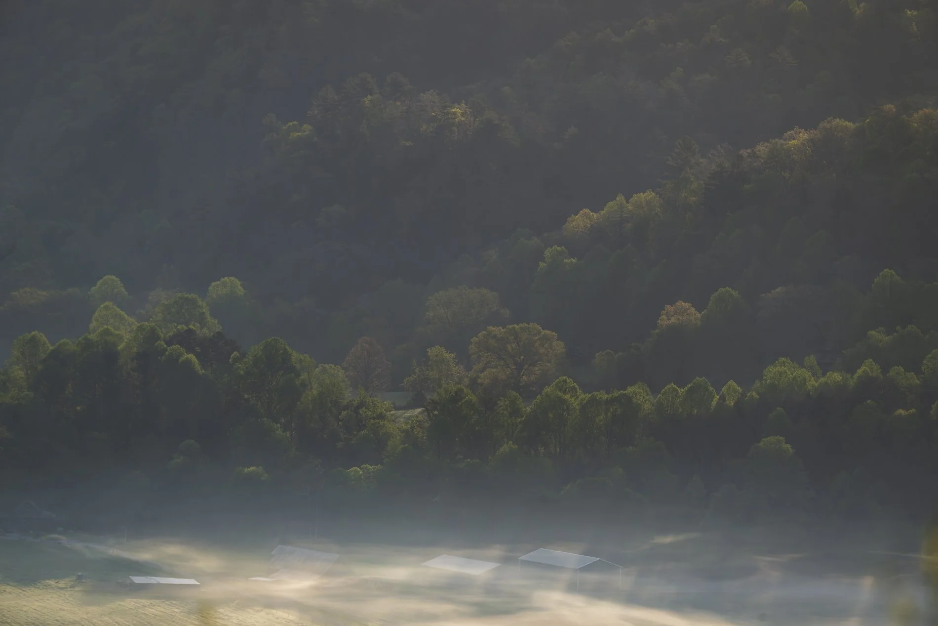 Smokies Gallery-7.jpg
