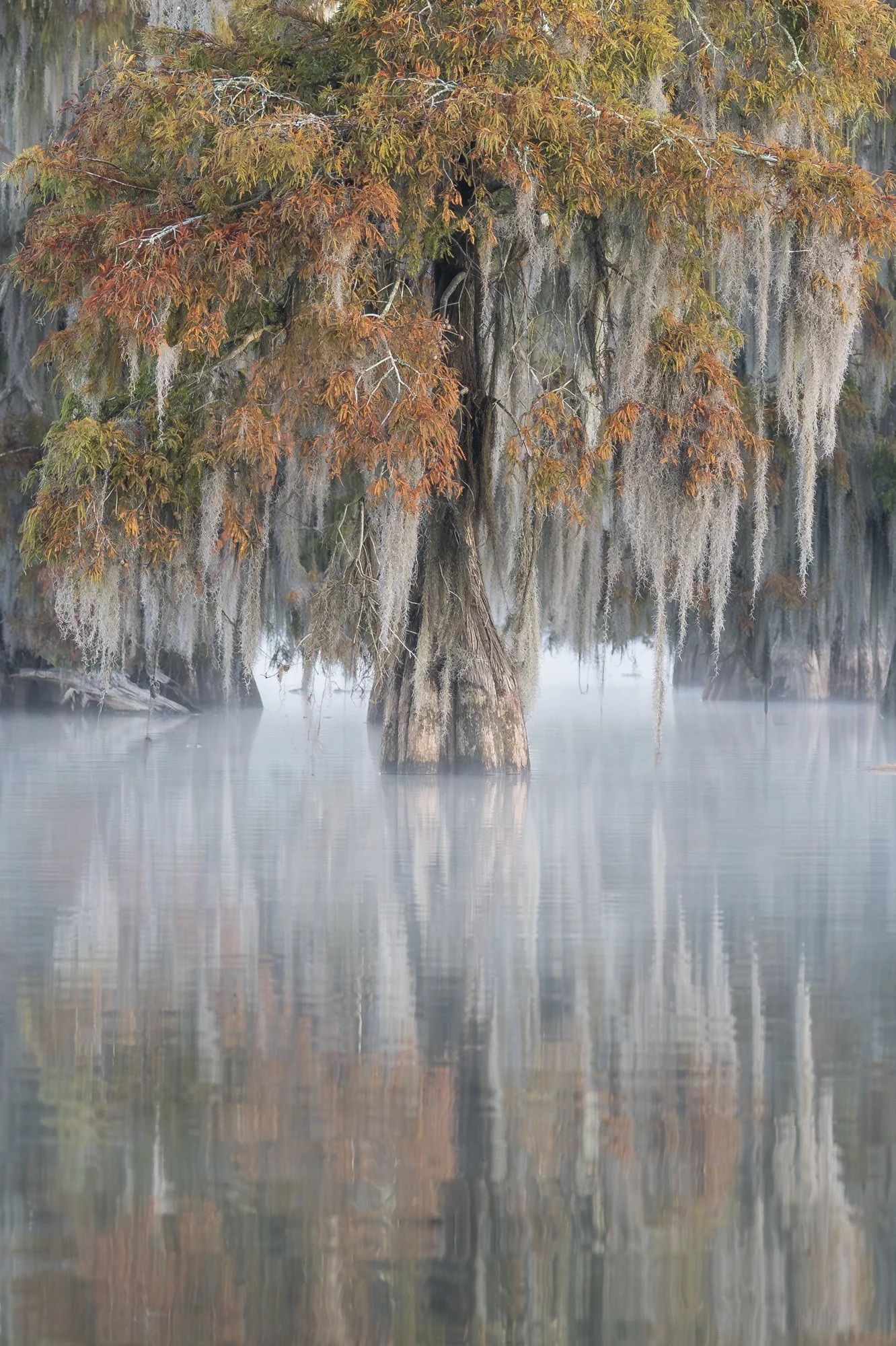 t_Bayou 20.jpg