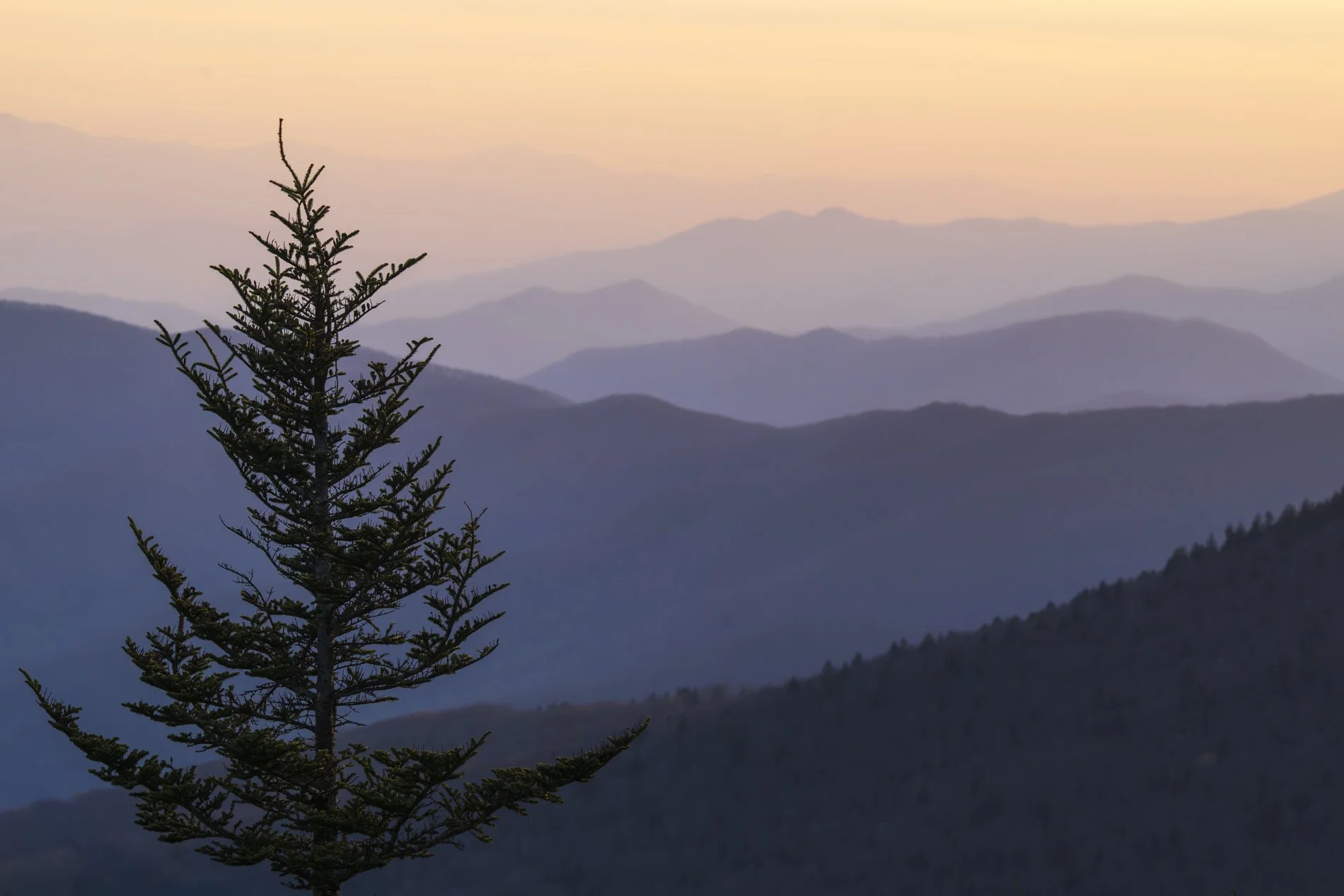 Smokies Gallery-19.jpg
