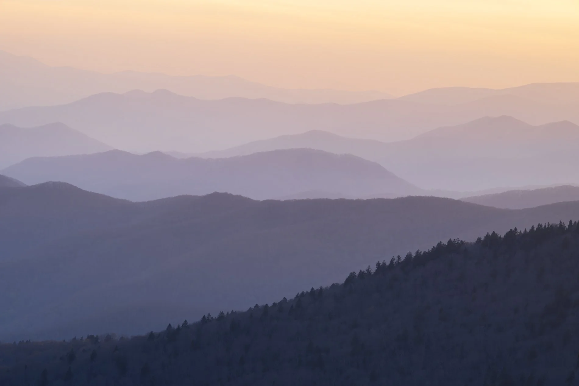 Smokies Gallery-21.jpg