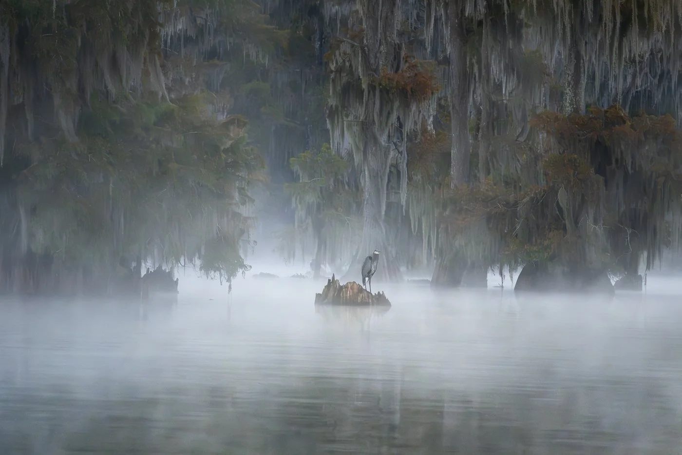 a_Bayou 1.jpg