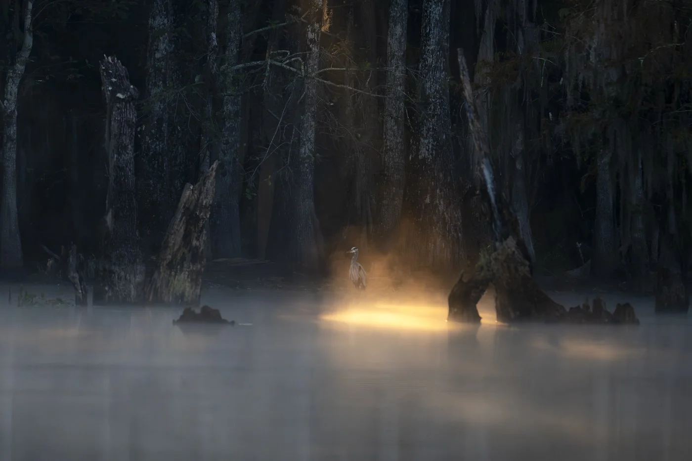 o_Bayou 15.jpg