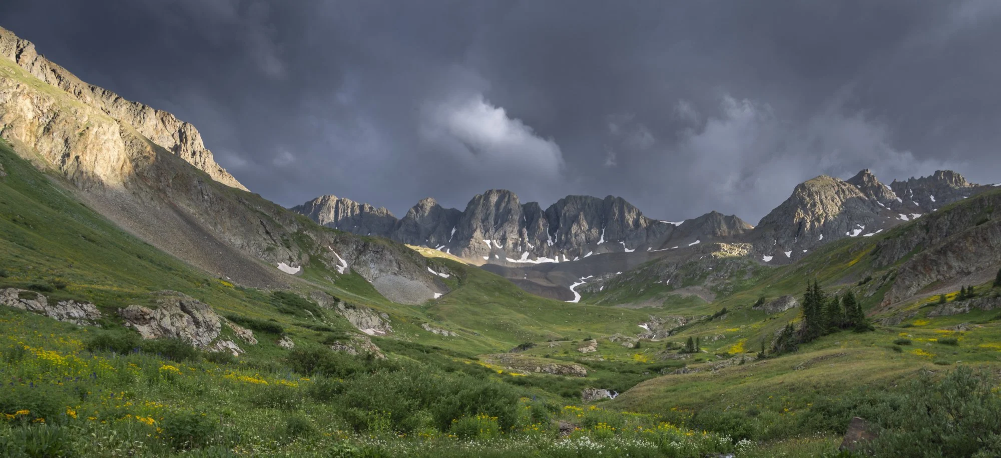 Wildflowers & Mountains-6.jpg