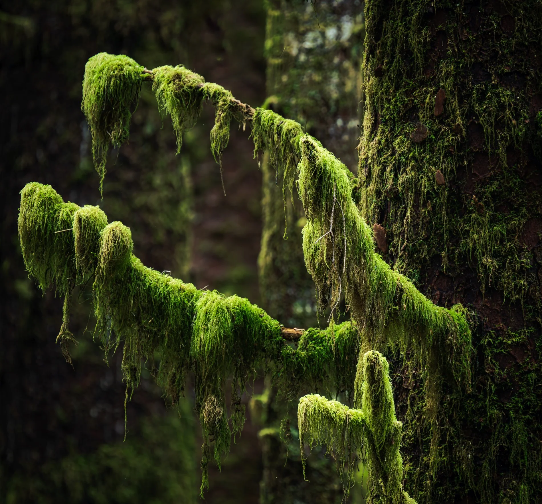 Vancouver Island, BC