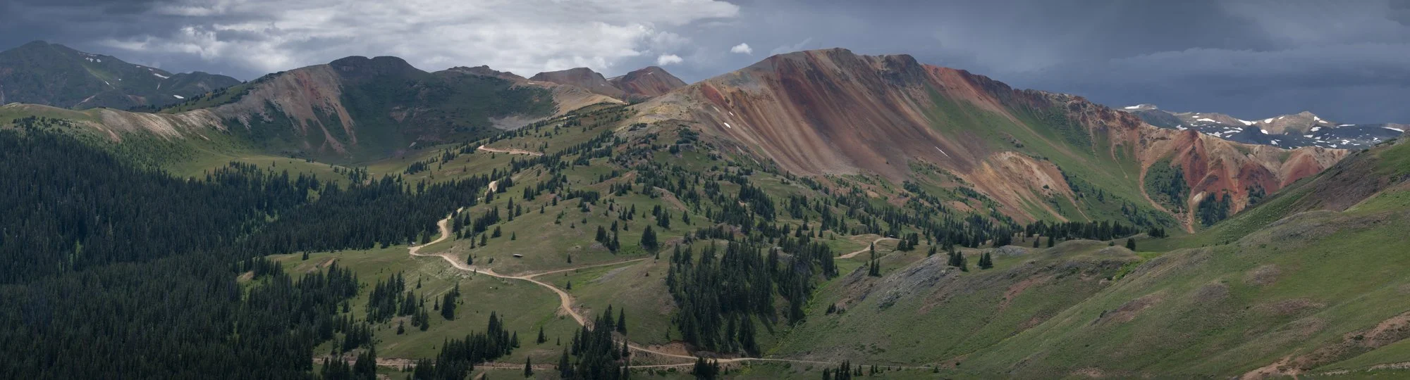 Wildflowers & Mountains-7.jpg