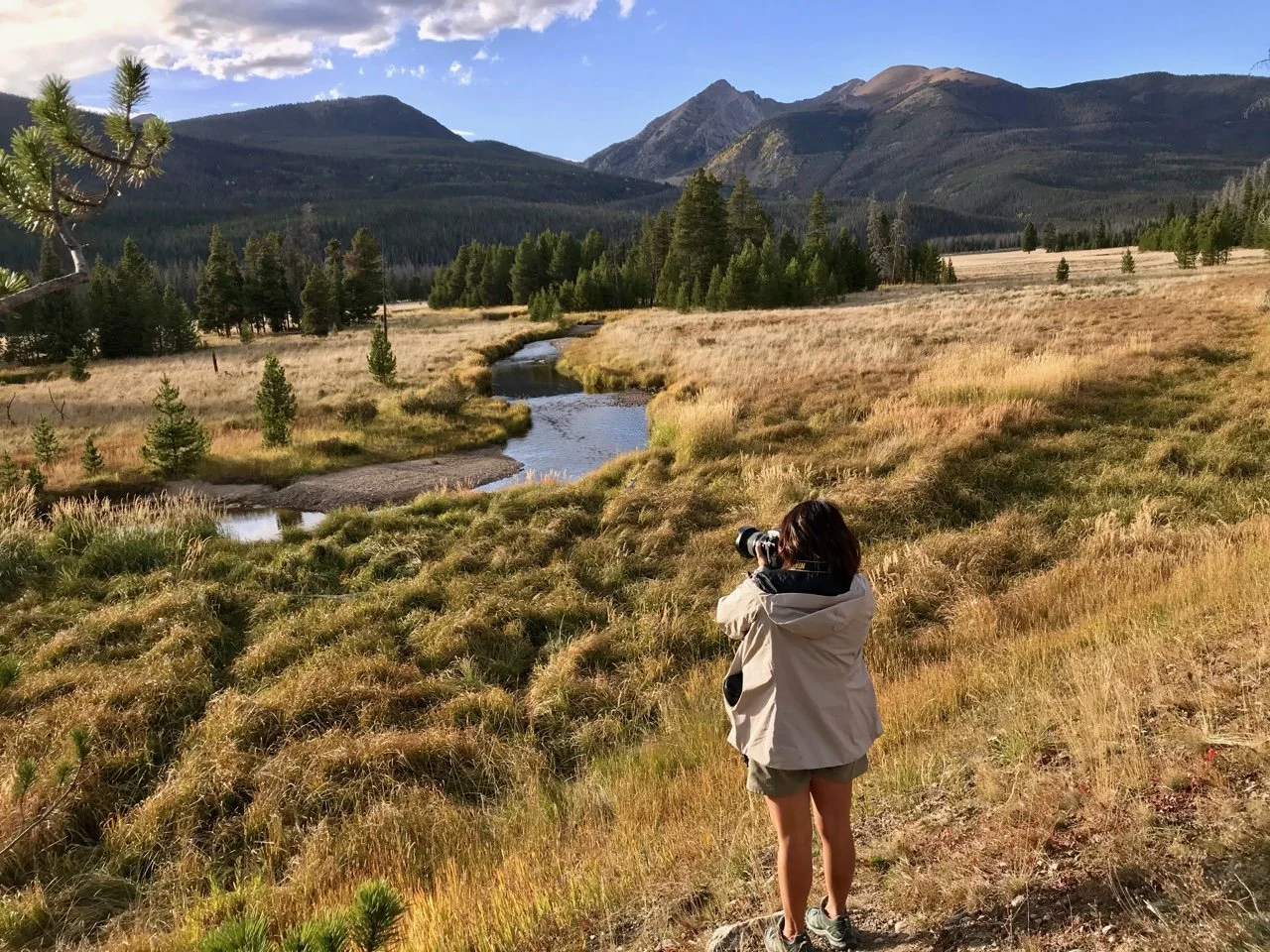 Person photographing a scenic landscape with mountains, trees, and a winding stream in the background.