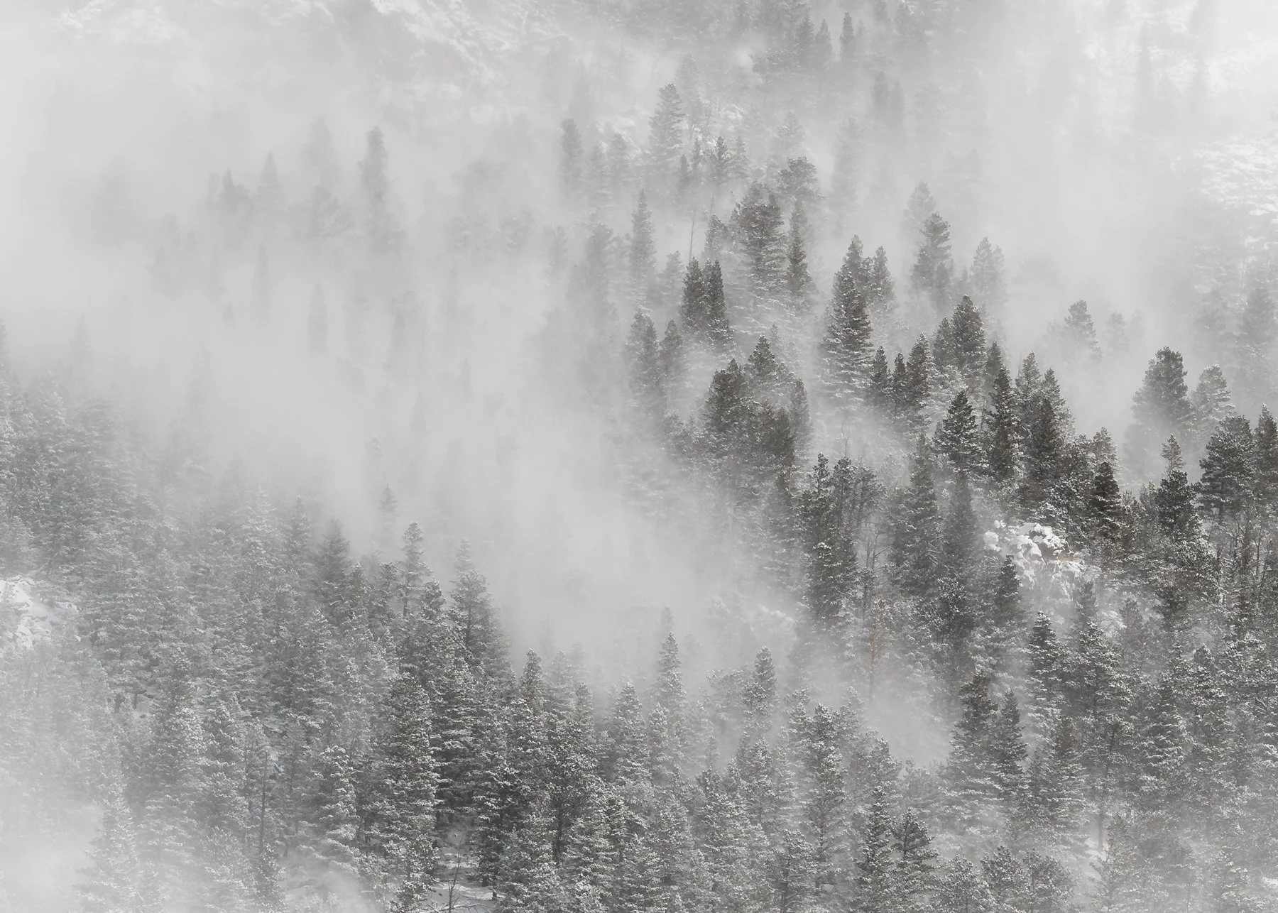 Rocky Mountain Bliss