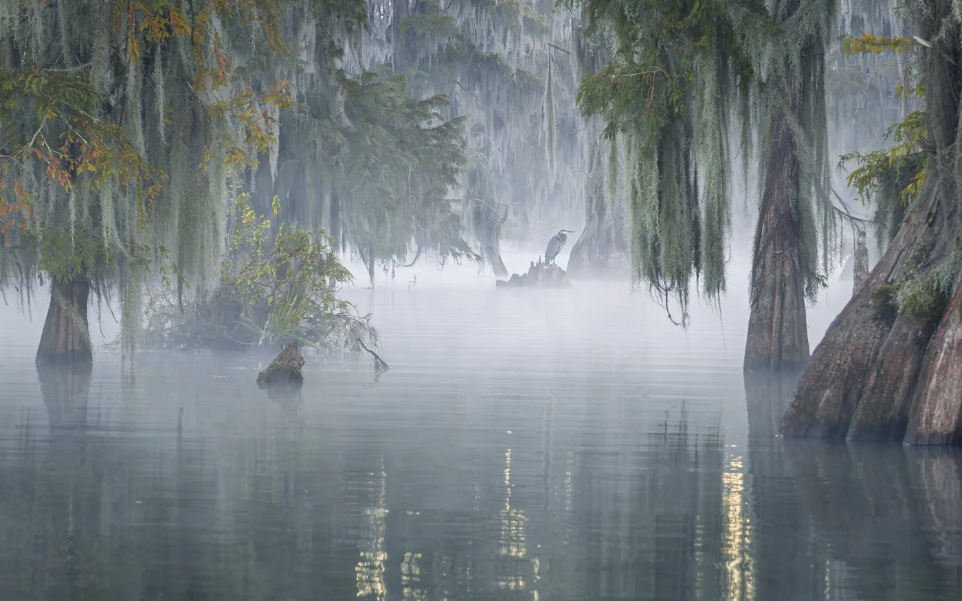 f_Bayou 6.jpg