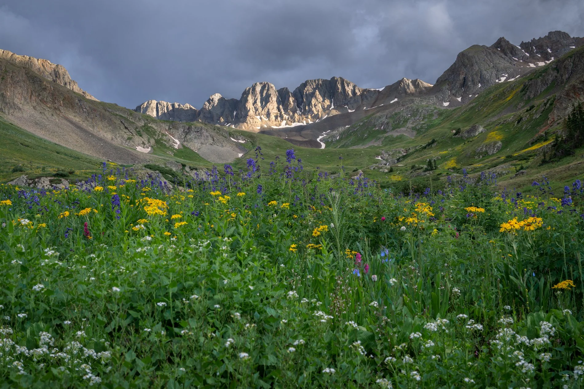 A lush green meadow filled with colorful wildflowers, with tall mountains and a cloudy sky in the background.
