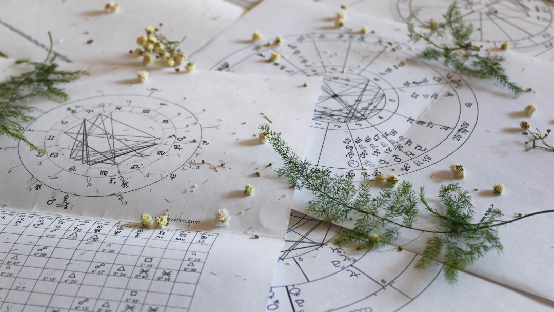 Astrological charts with geometric and zodiac symbols on paper, decorated with small flowers and green leaves.