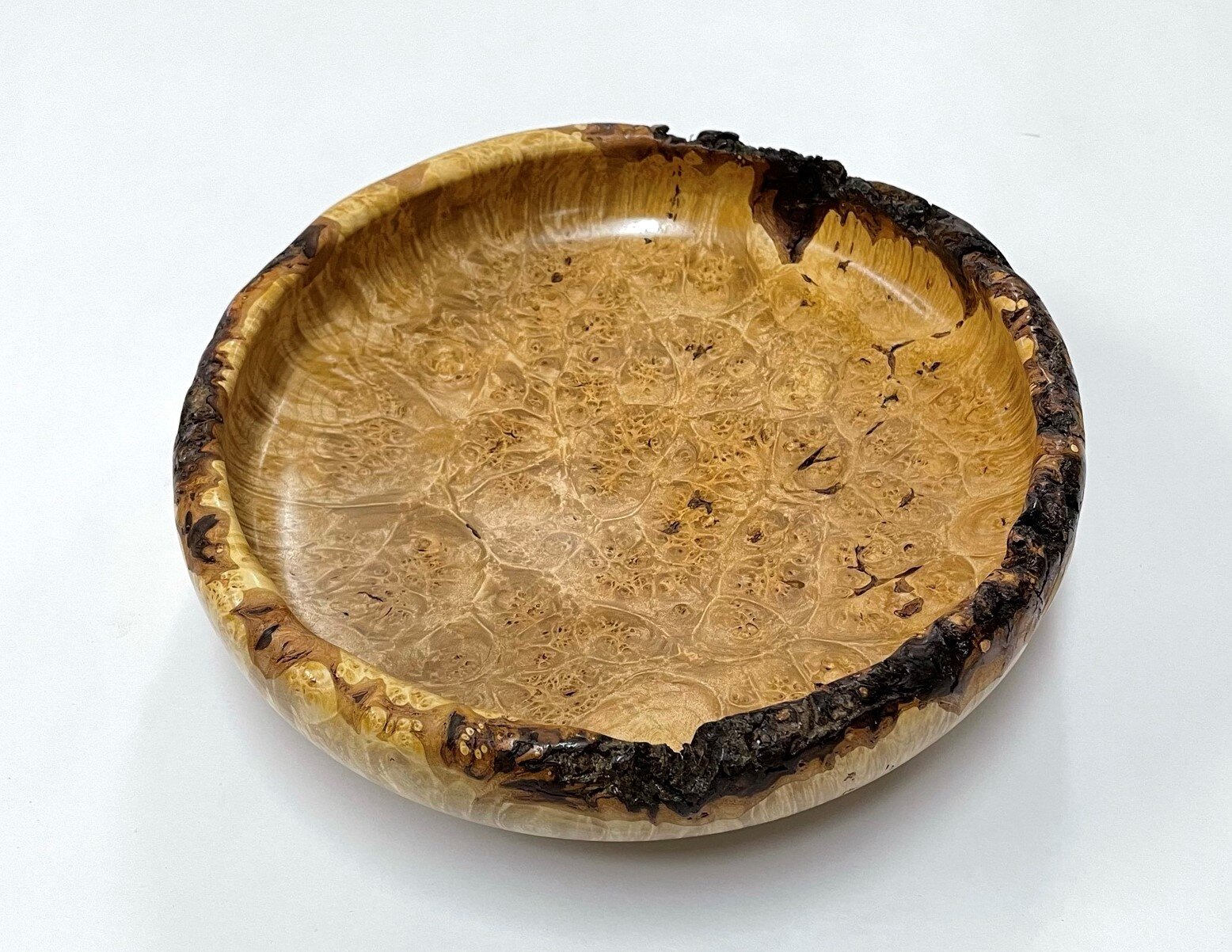  A live bark edge on a burl enhances the bowl when it is maintained while turning.  Big Leaf Maple Burl Bowl 10” x 3” high $250 