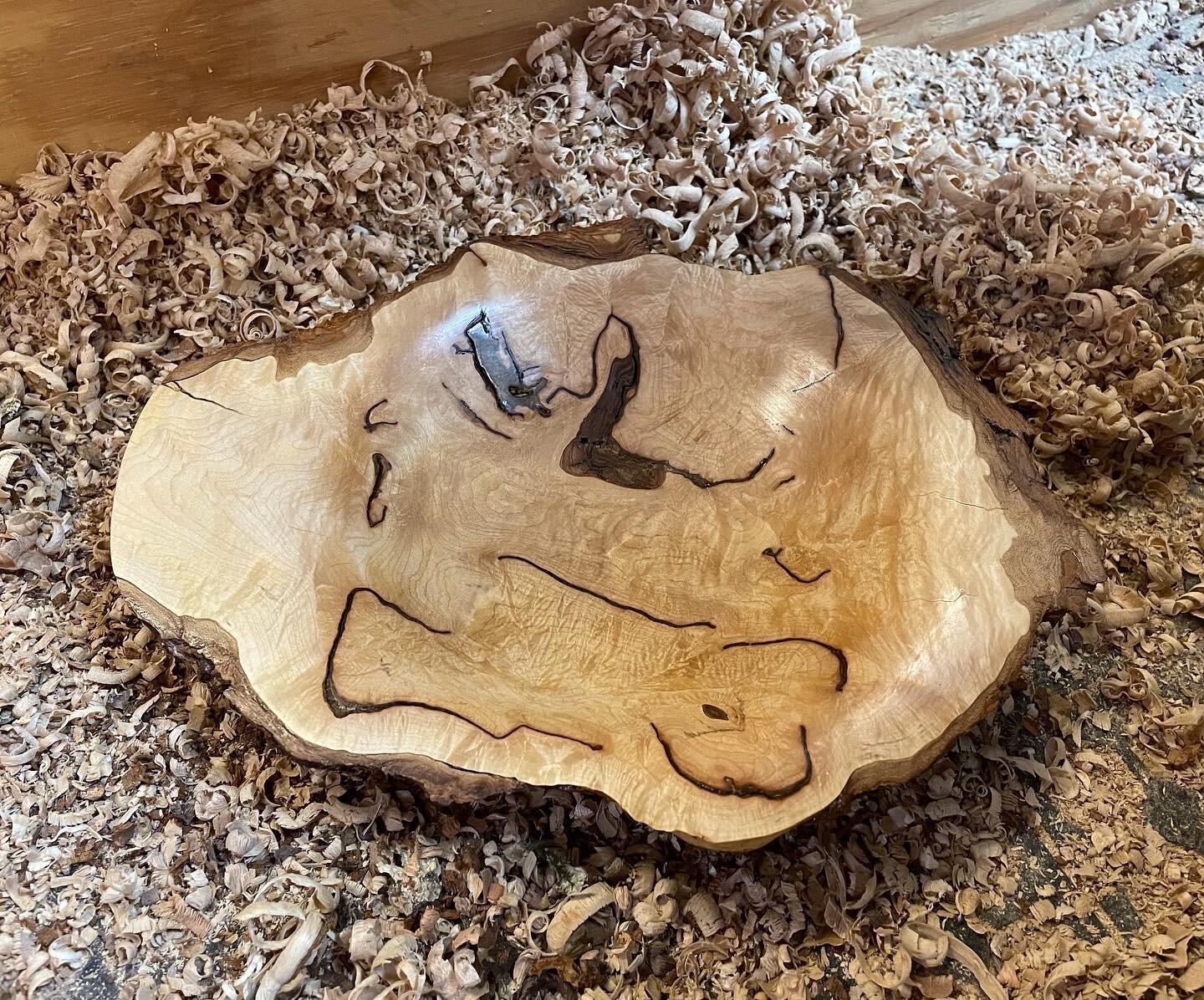 The unique bark inclusions and textures of Maple Burl add to its distinctive, natural beauty.

Maple Burl Bowl 12&rdquo; x 9.75&rdquo; x 1.75&rdquo; deep

#mapleburl #mapleburlwood #burlbowl #woodturning #woodturner #lathework #muskoka #muskokalife #