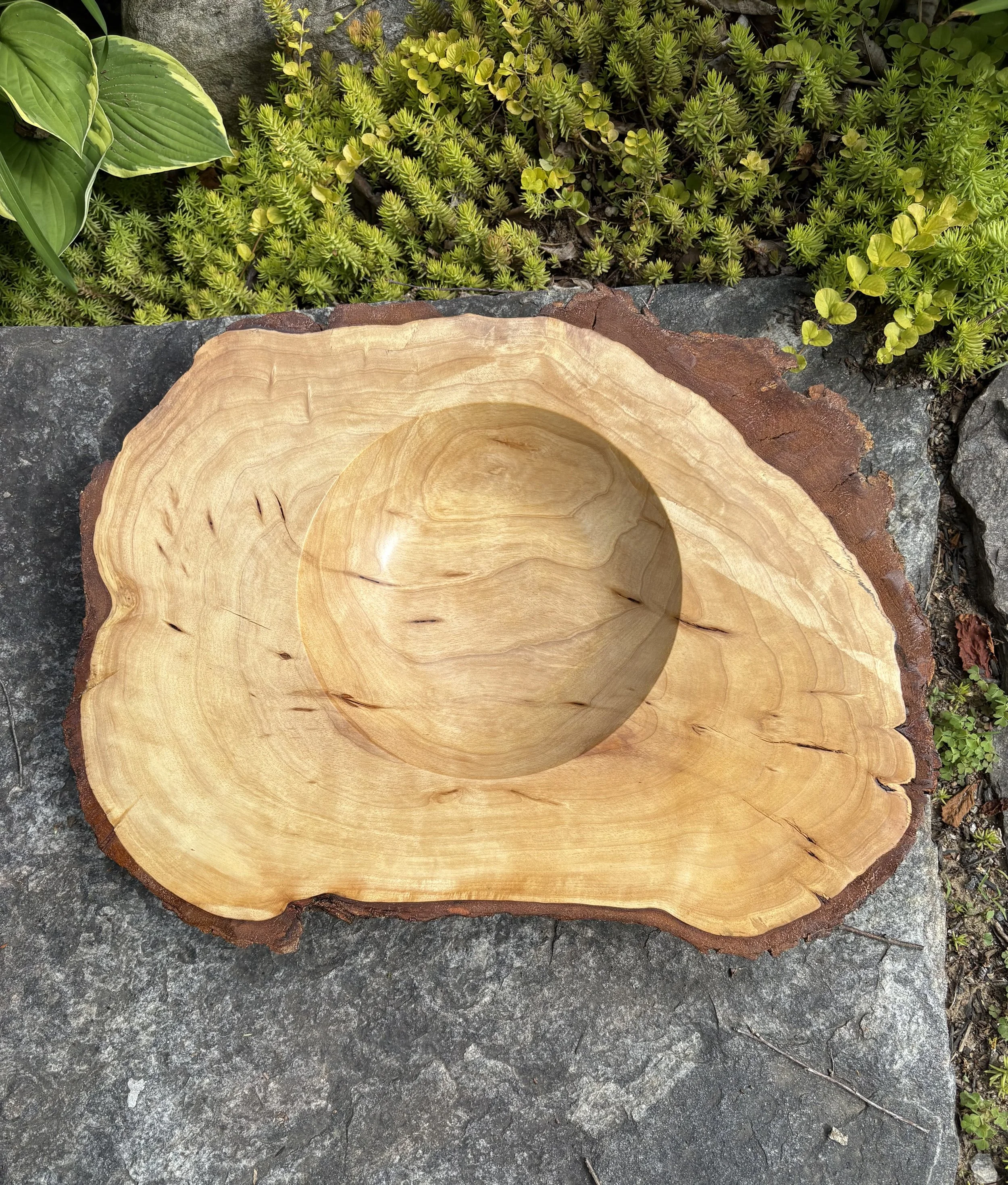 Burl Bowls at Algonquin Art Centre