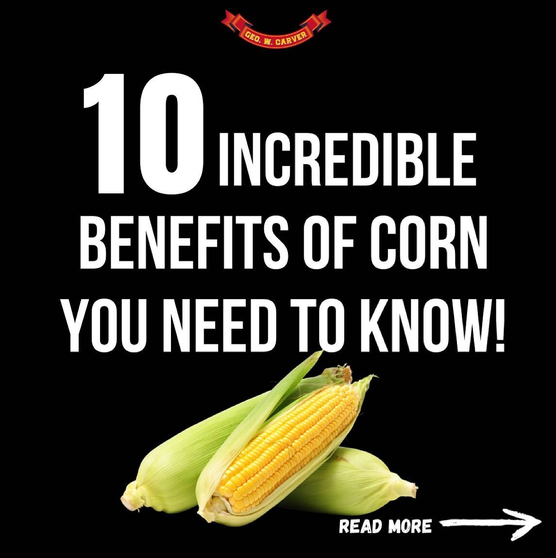 We all love munching on these delicious golden kernels 🌽 &amp; here are just a few reasons to continue adding corn to your diet! 

SWIPE to read more on posts! 

These are just 10 of our favorite benefits but there are so many more we encourage you 