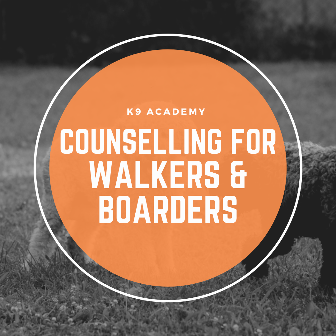 Professional Development — Group Training