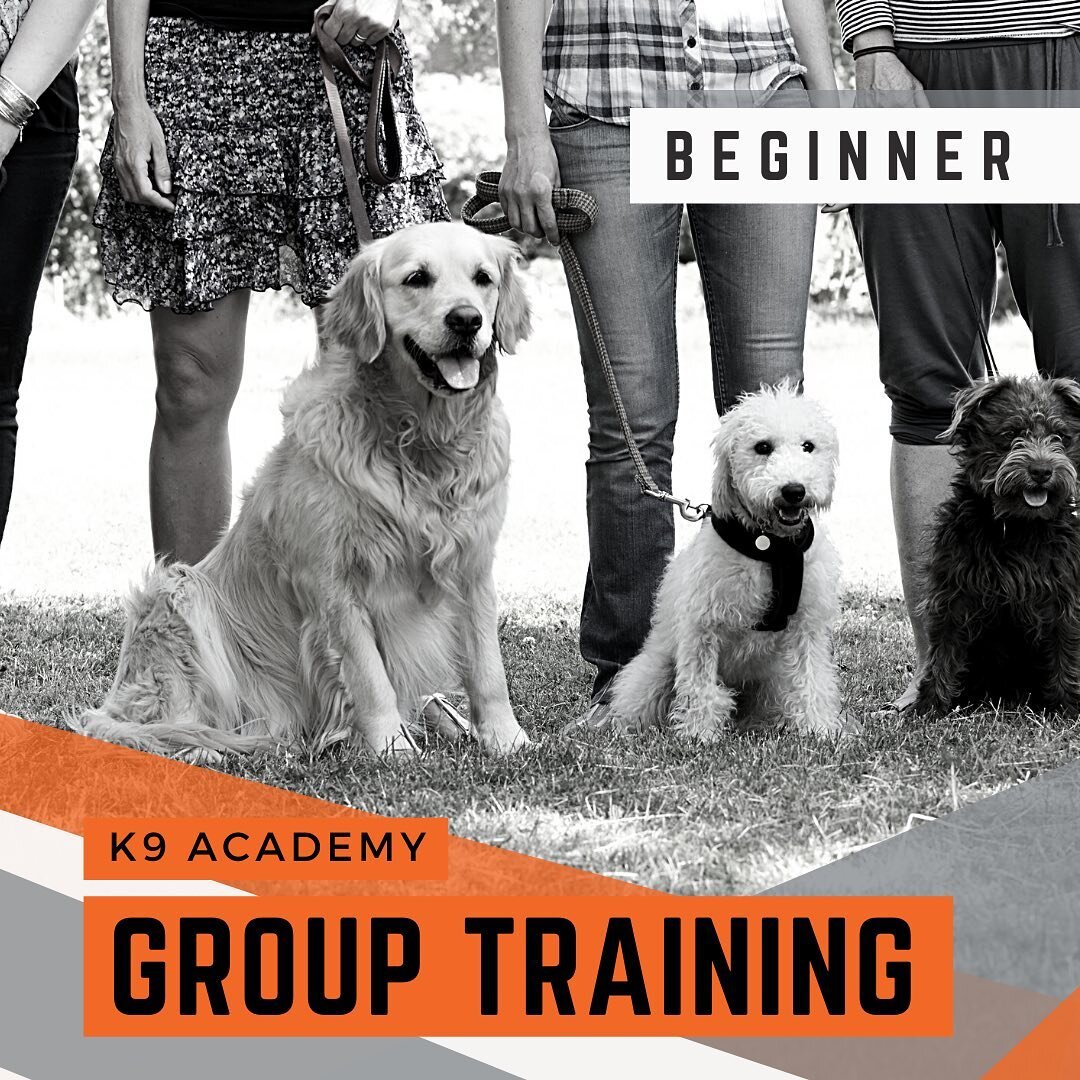 Hi everyone, we are super excited to announce our ADULT dog group classes! If we have never met, and if you have never worked with a trainer/professional before, the beginner course is a great place to start. We would work on basic obedience, leash m