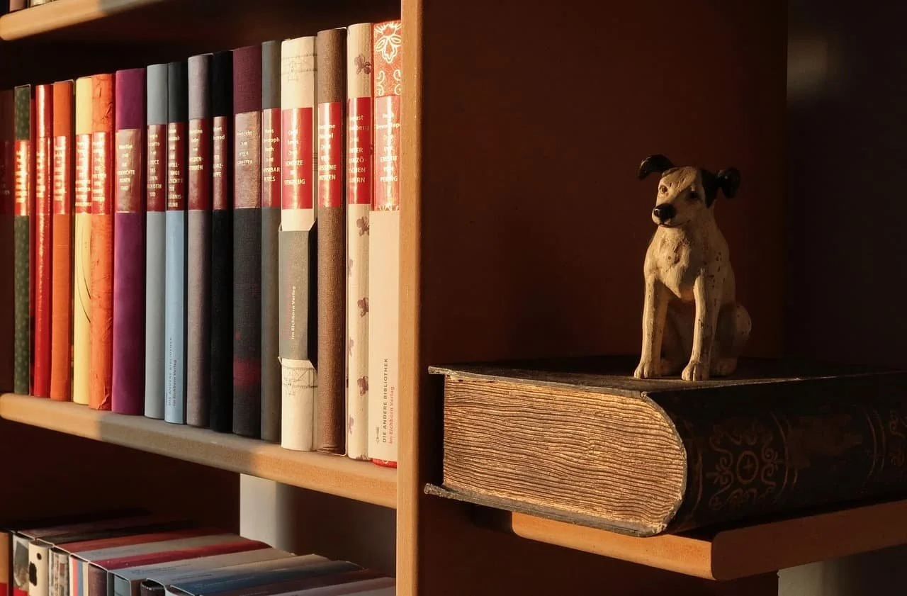 Best Dog Training Books: Top Recommendations for Owners