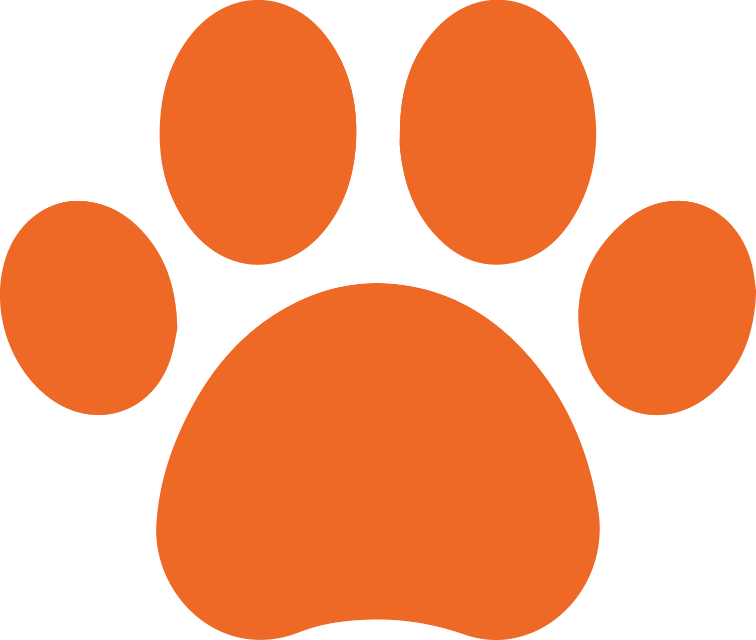Orange paw print logo on a black background