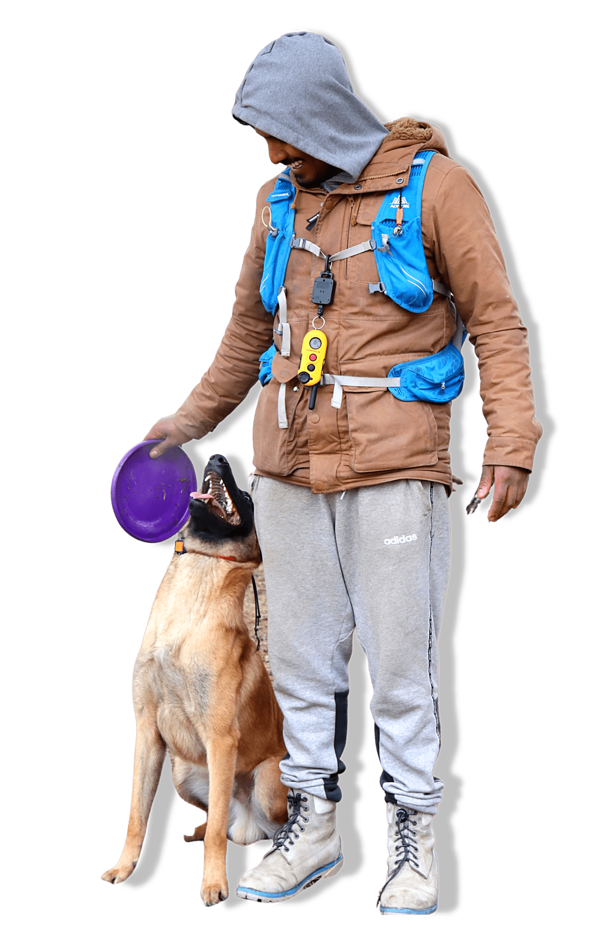 Board and Train Dog Training Toronto | K9 Academy — Group Training
