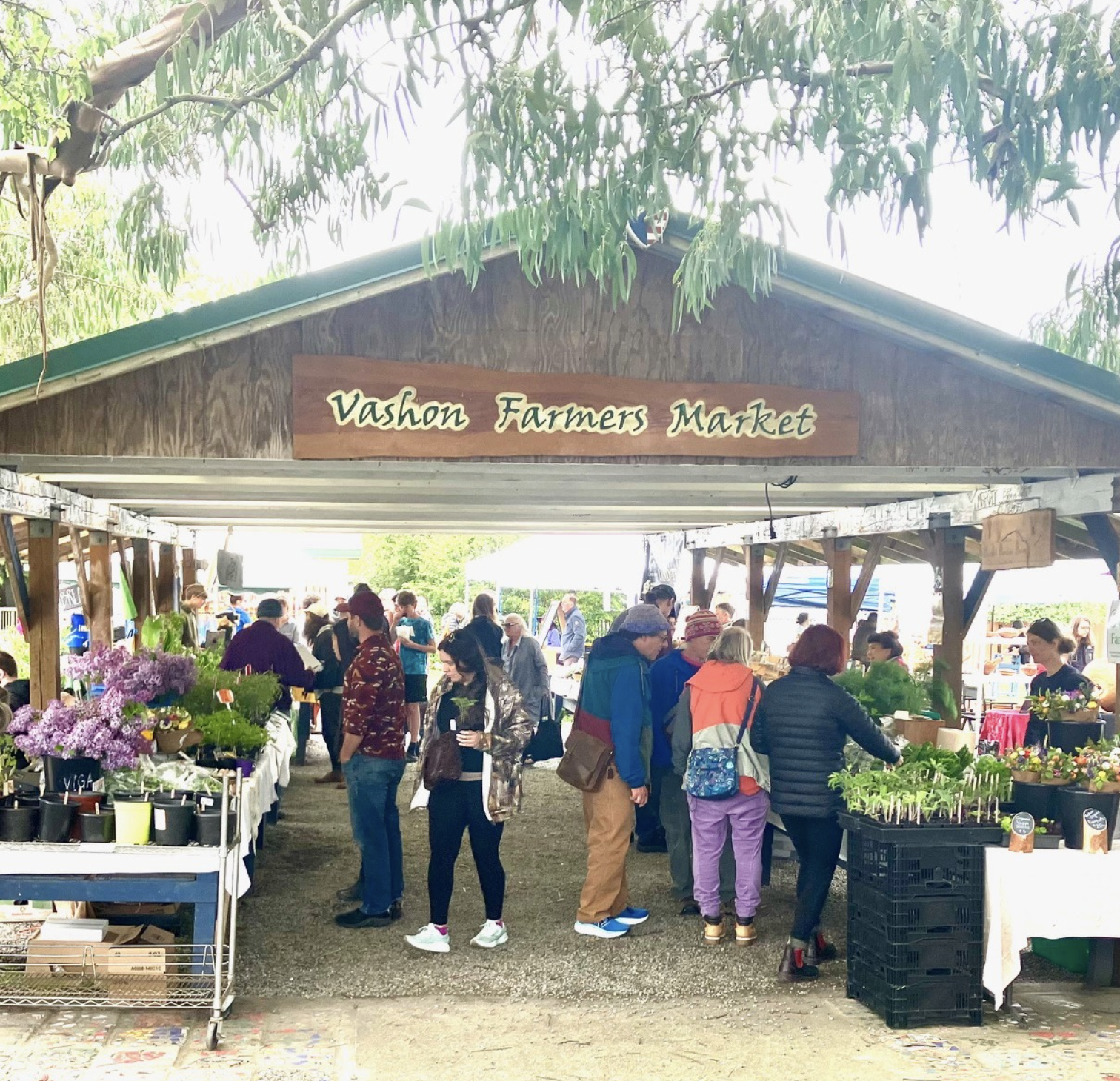 Farmer's Market Begins
