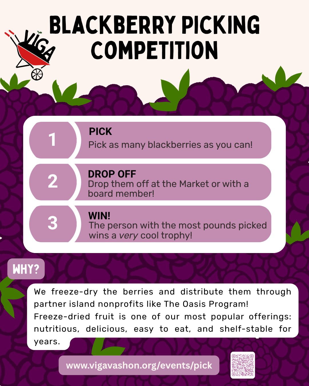 Blackberry Picking Competition
