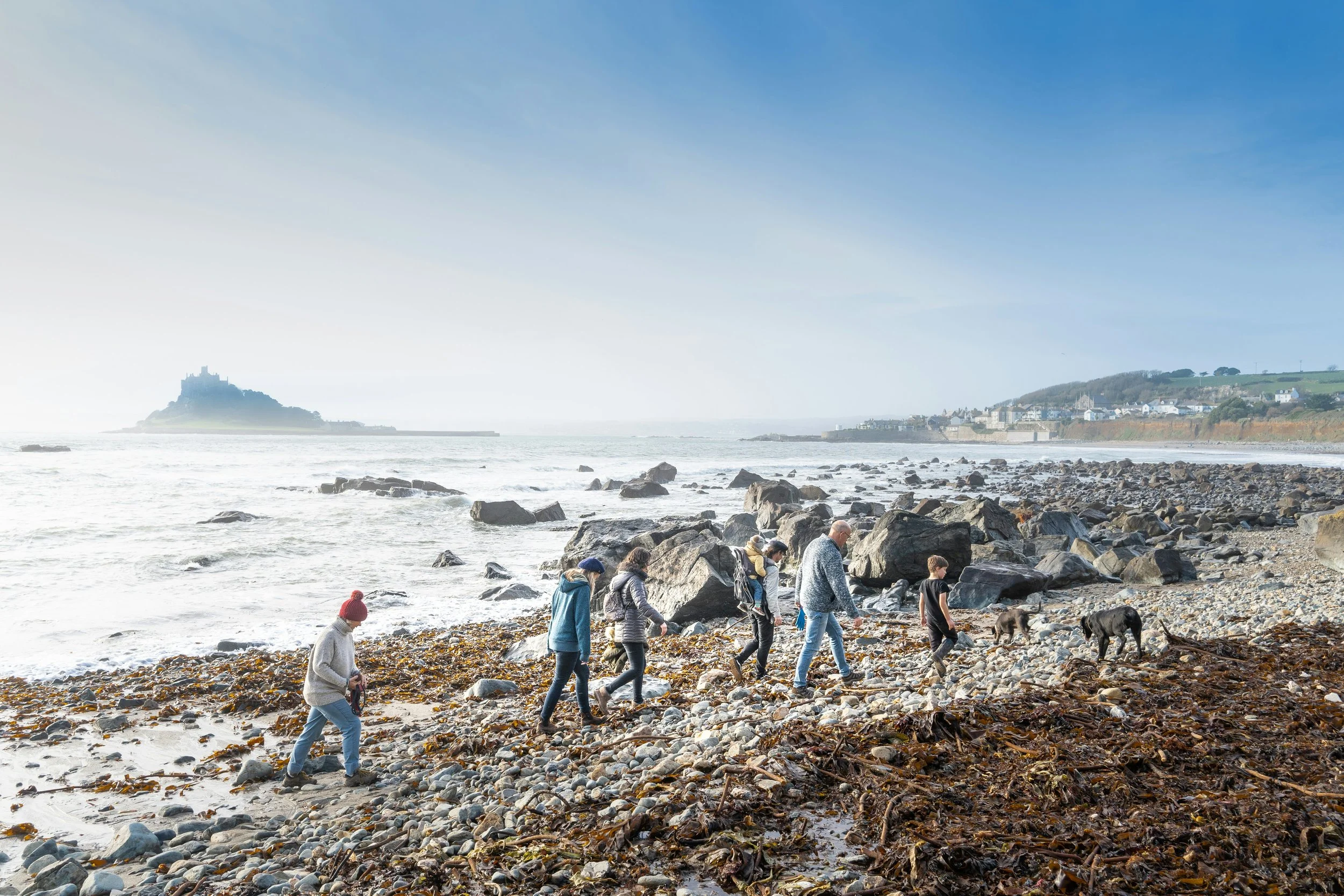 TOOLKIT FOR COLDS AND FLU 