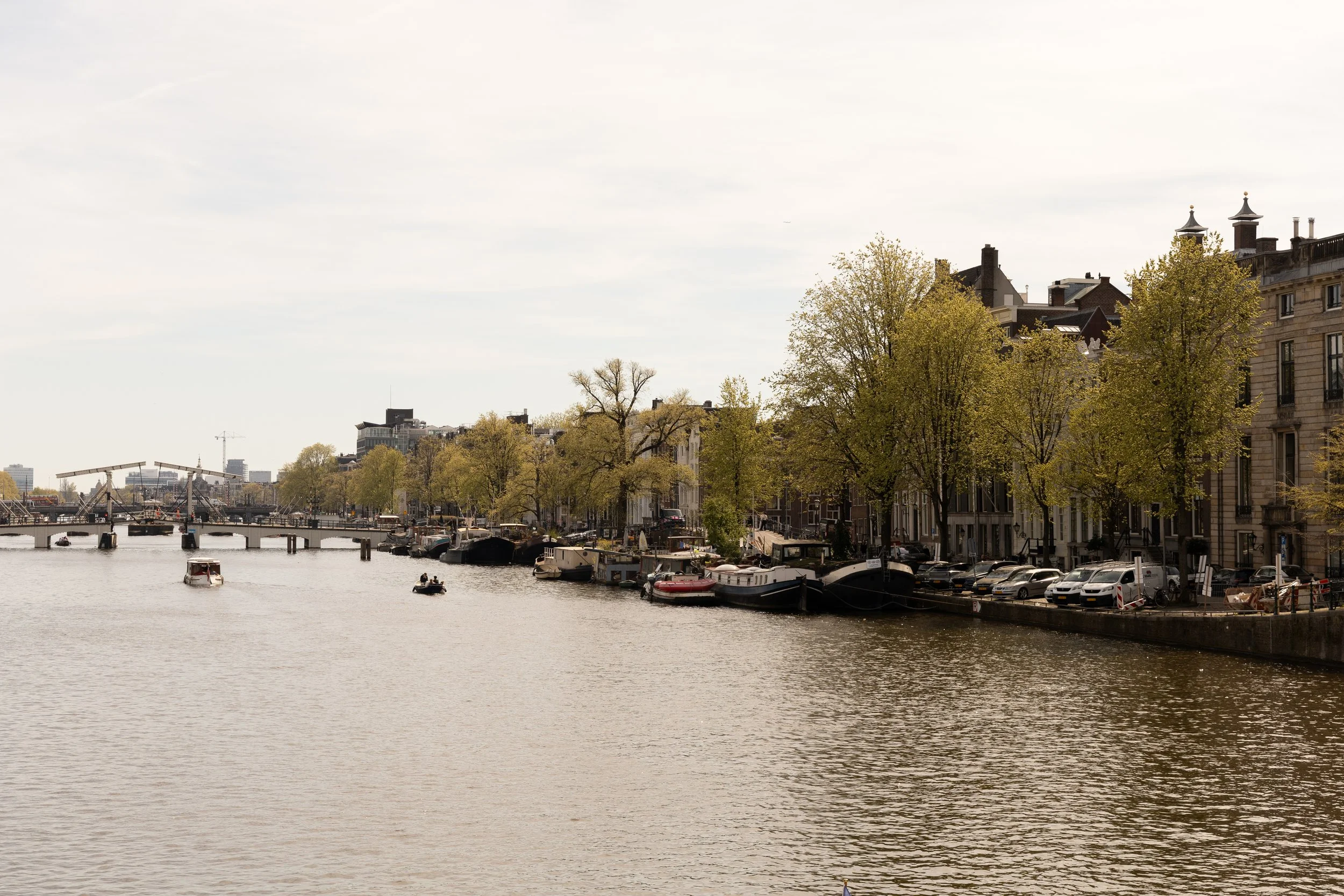 IMG_5897.jpg
