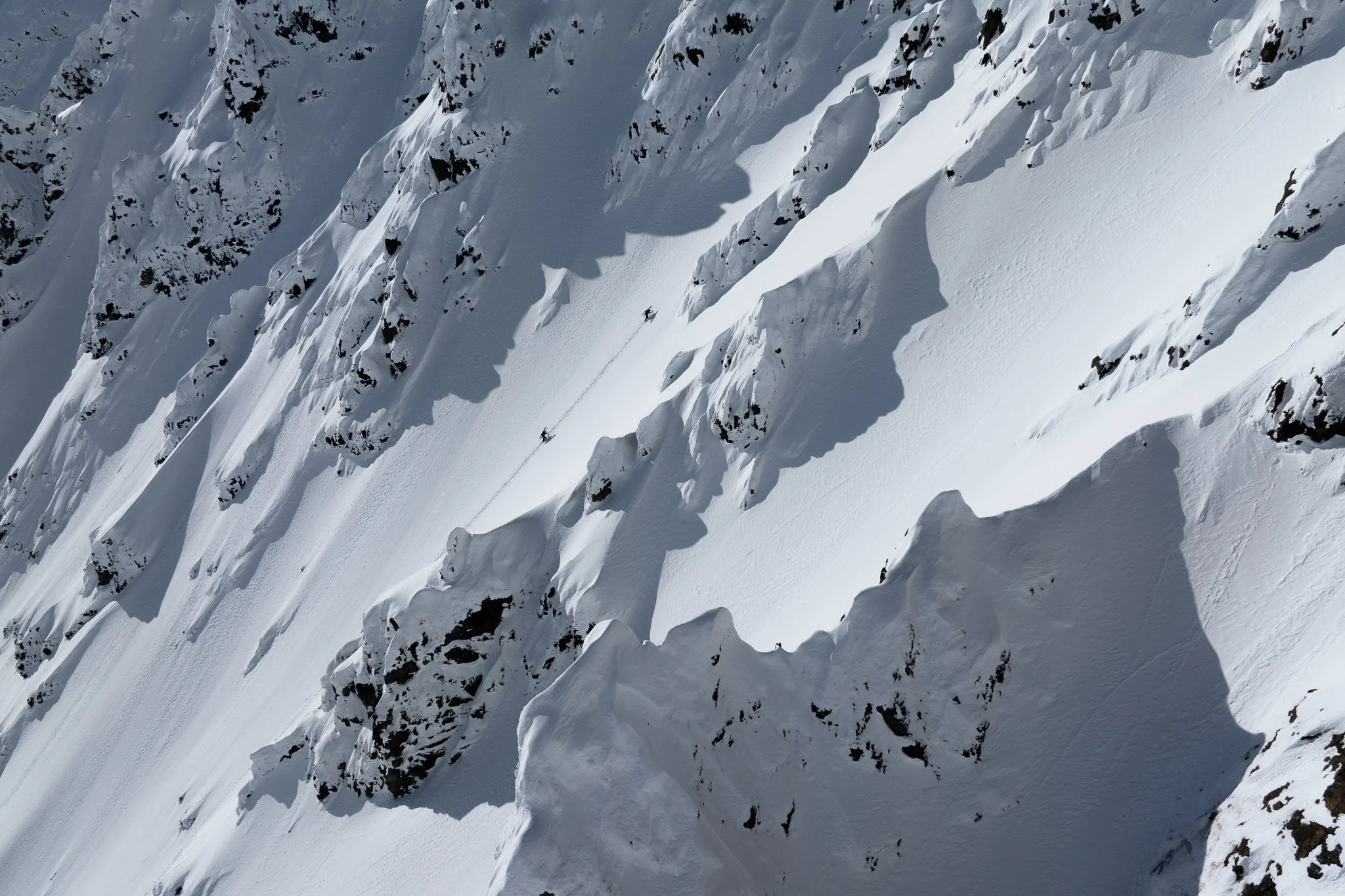 Salomon_Alaska_2024_Nature_Texture11.jpg