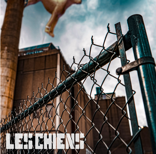 Les Chiens explorent la mémoire et l'embrasement avec le nouvel extrait « Tu venais vers moi »