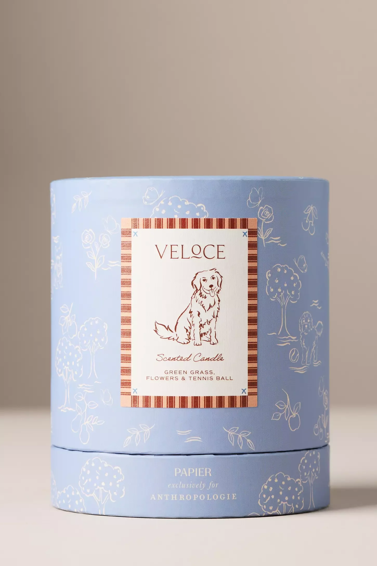 Anthropologie X Papier