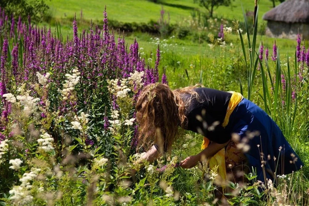 FORAGING AT LUSS