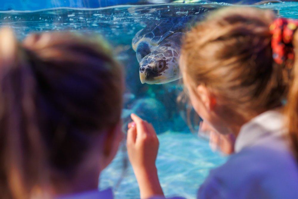 SEALIFE LOCH LOMOND