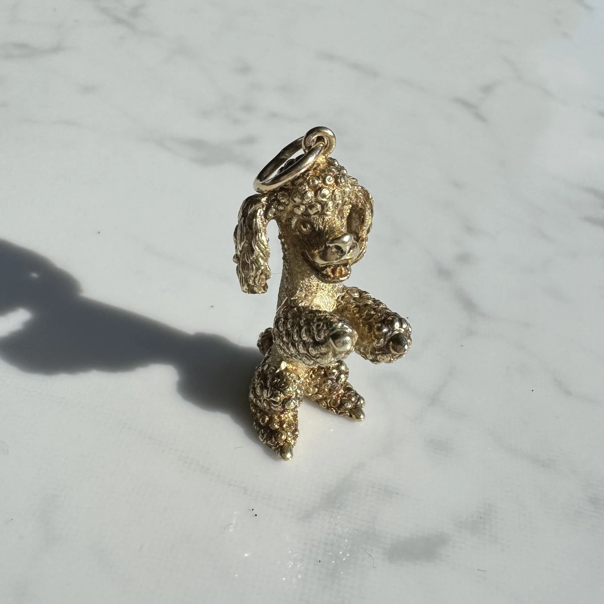 755347B0-8FF9-4049-9A69-B62A7E085E7A.jpeg