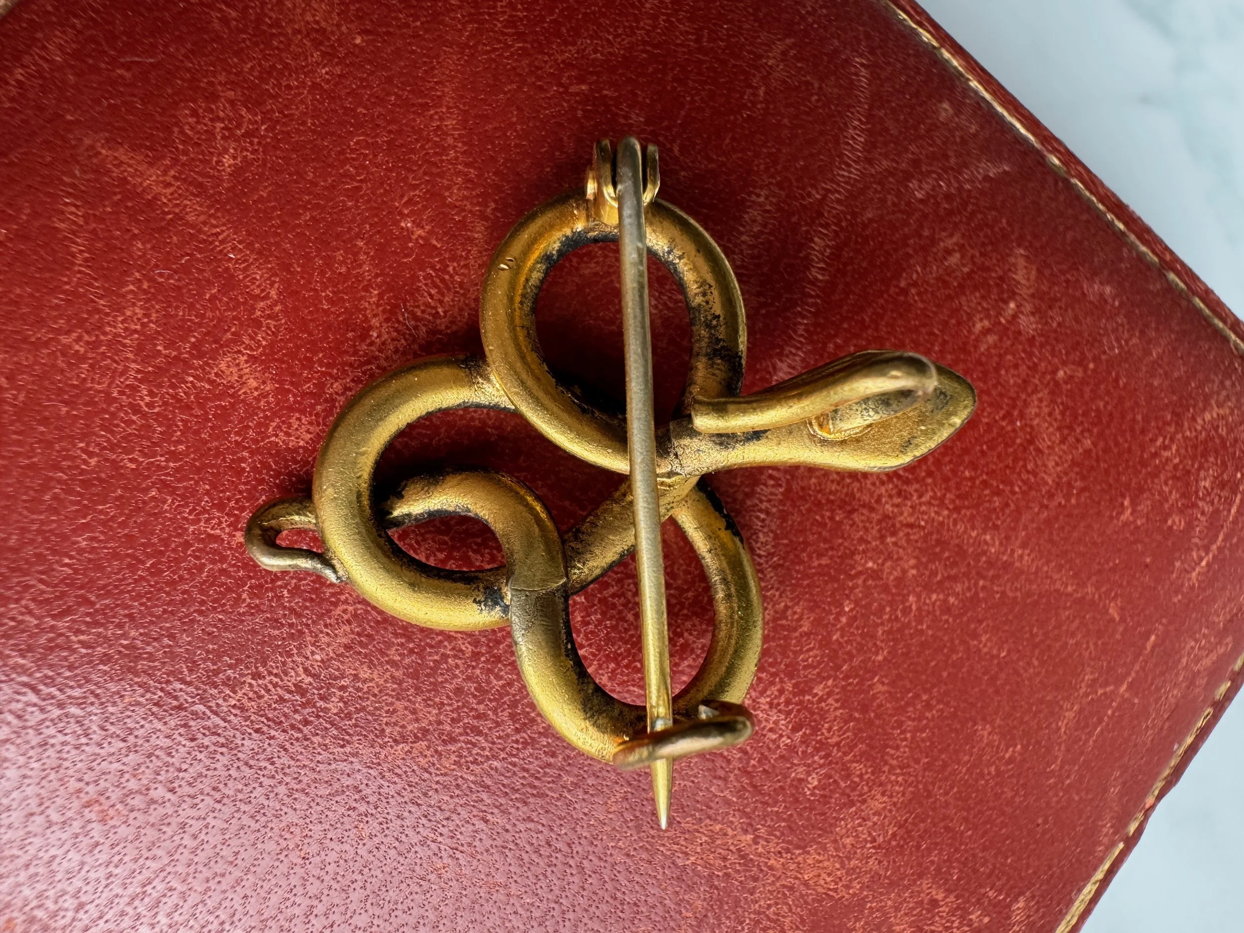 IMG_2329 (1).jpeg (Copy)