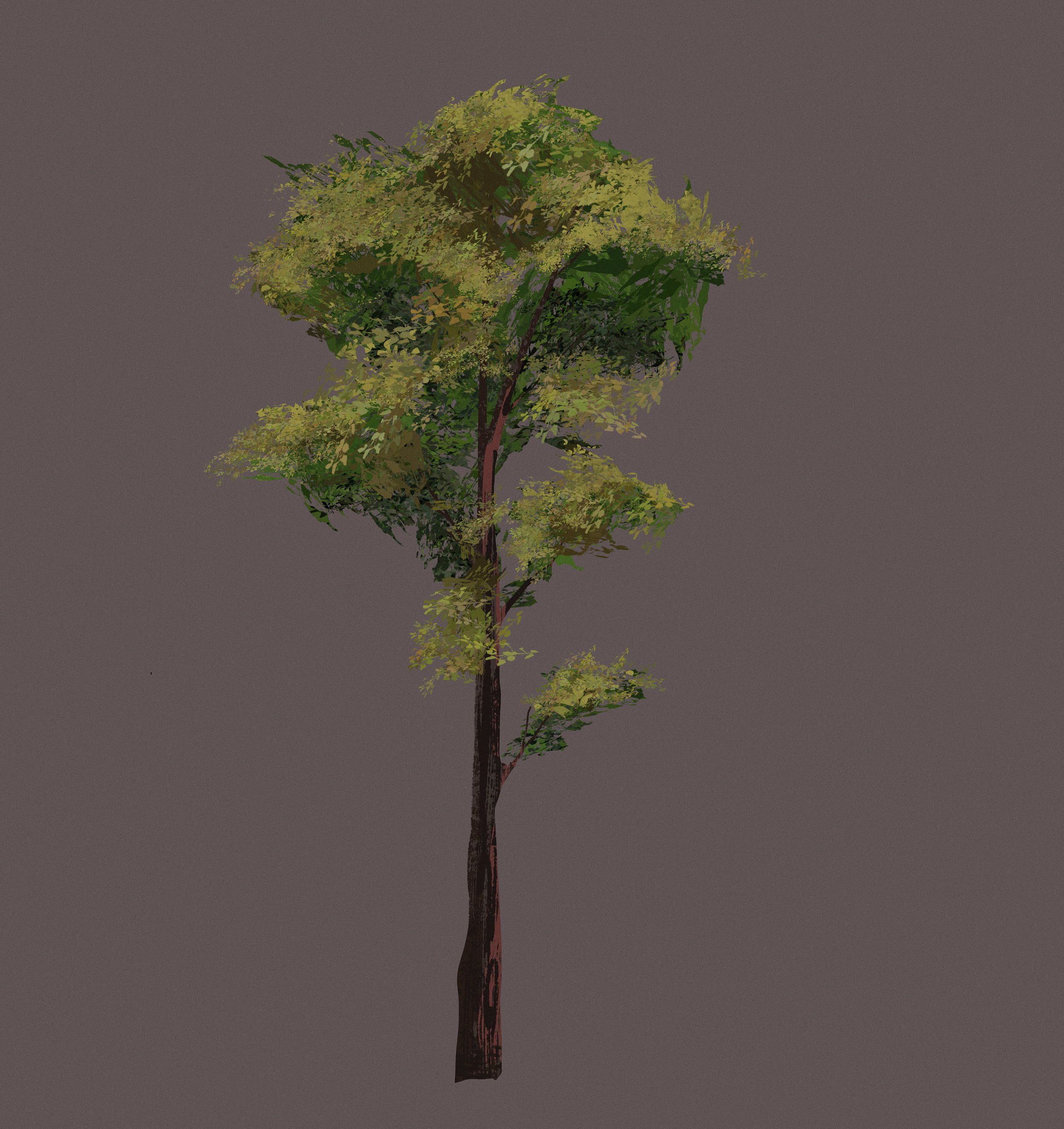 Tree_3.jpg