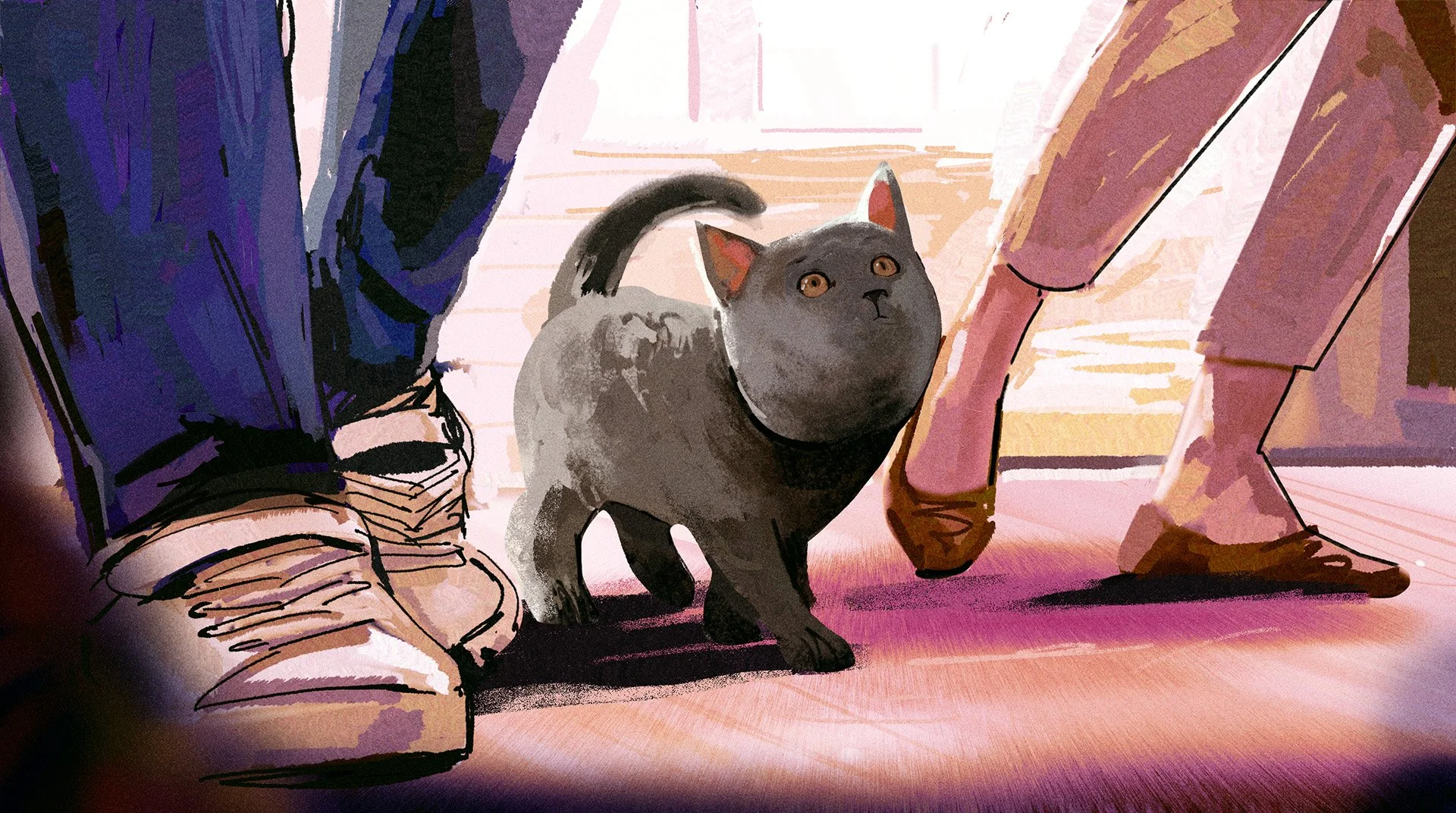 cat3.jpg