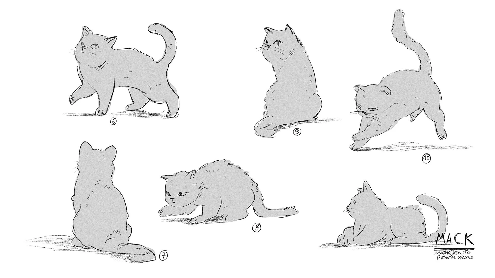 Cat_poses_2.jpg