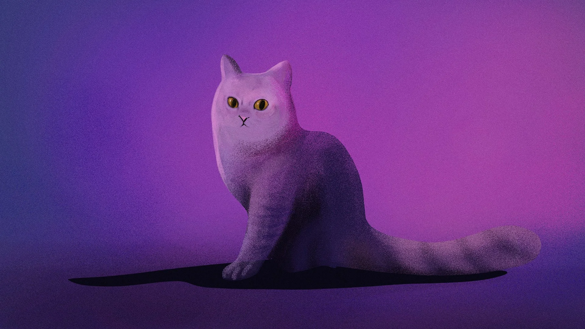 cat_1.3.jpg