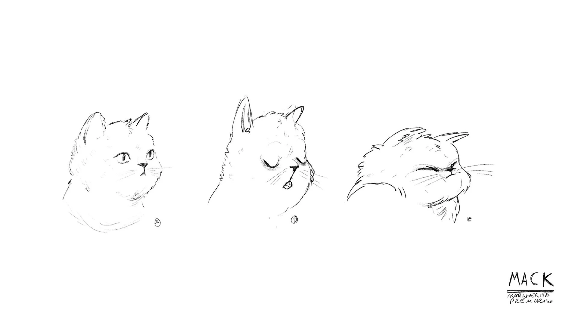 Cat_Facial_2.jpg