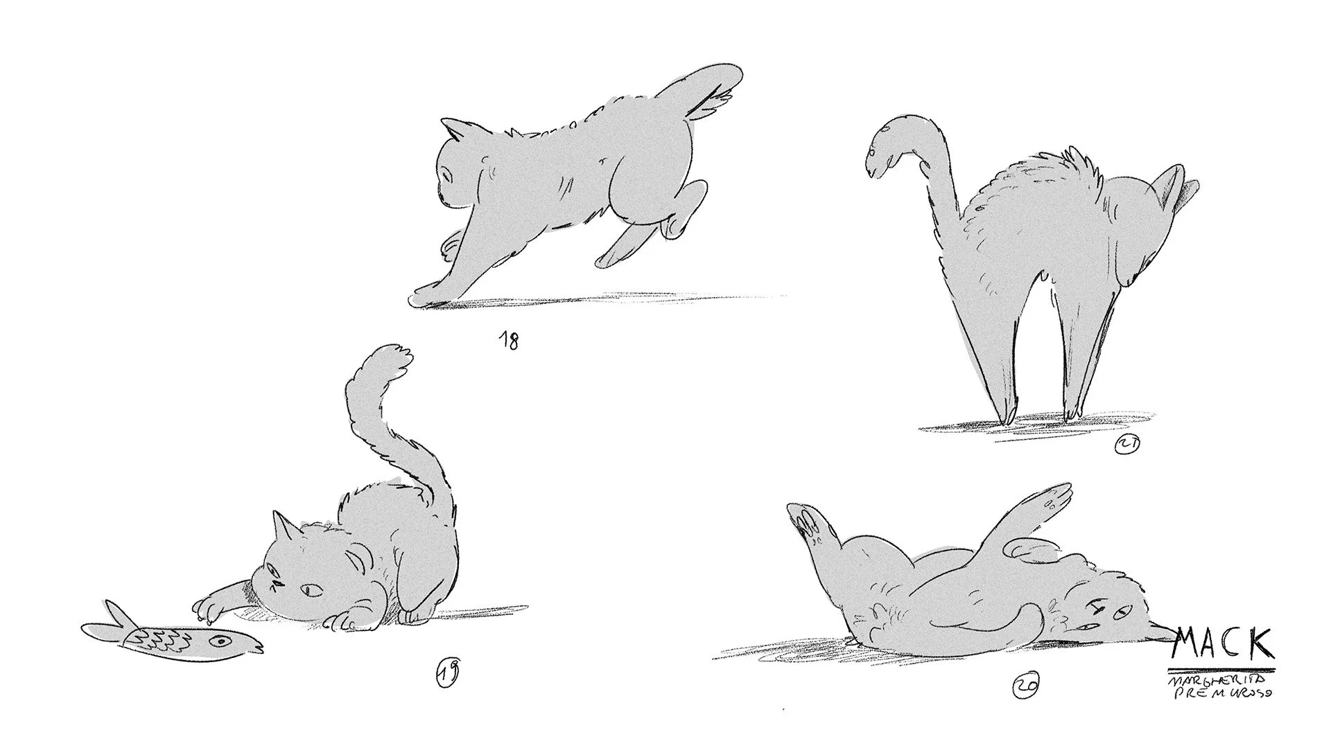 Cat_poses_4.jpg