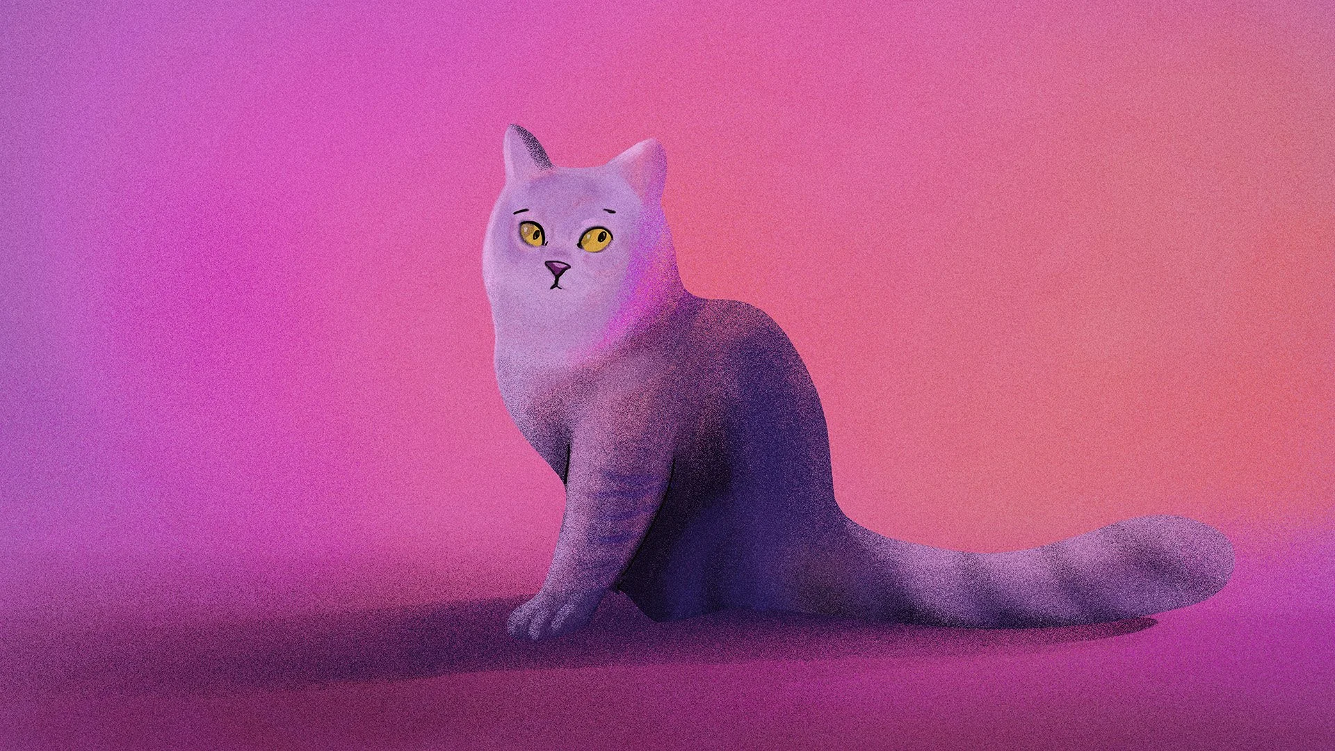 cat1_4.jpg