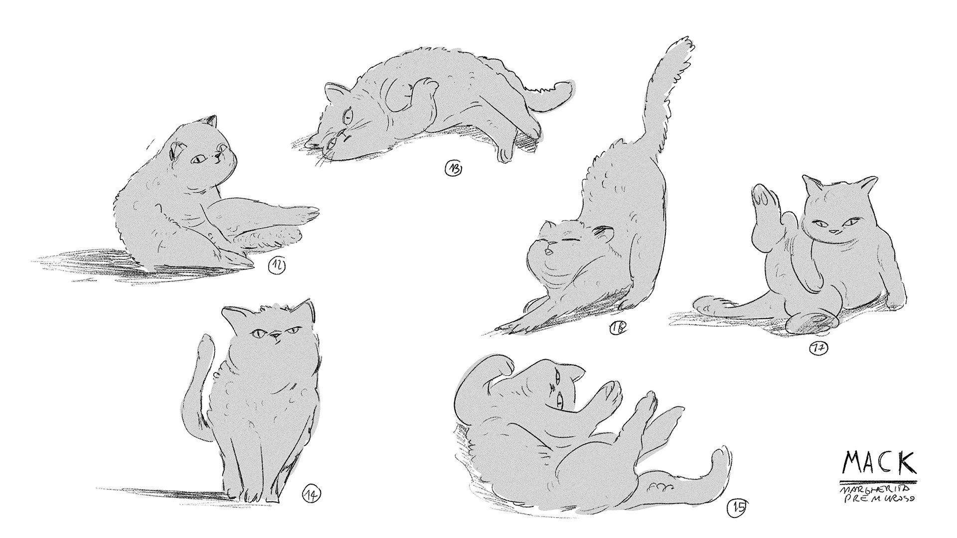 Cat_poses_3.jpg