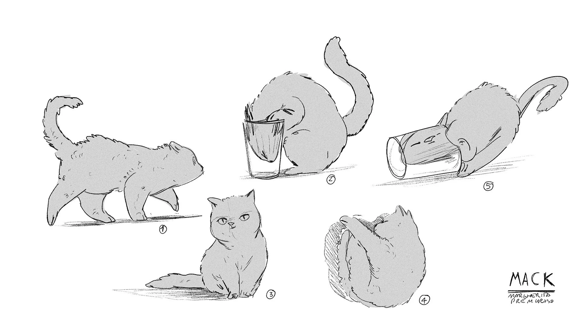 Cat_poses_1.jpg