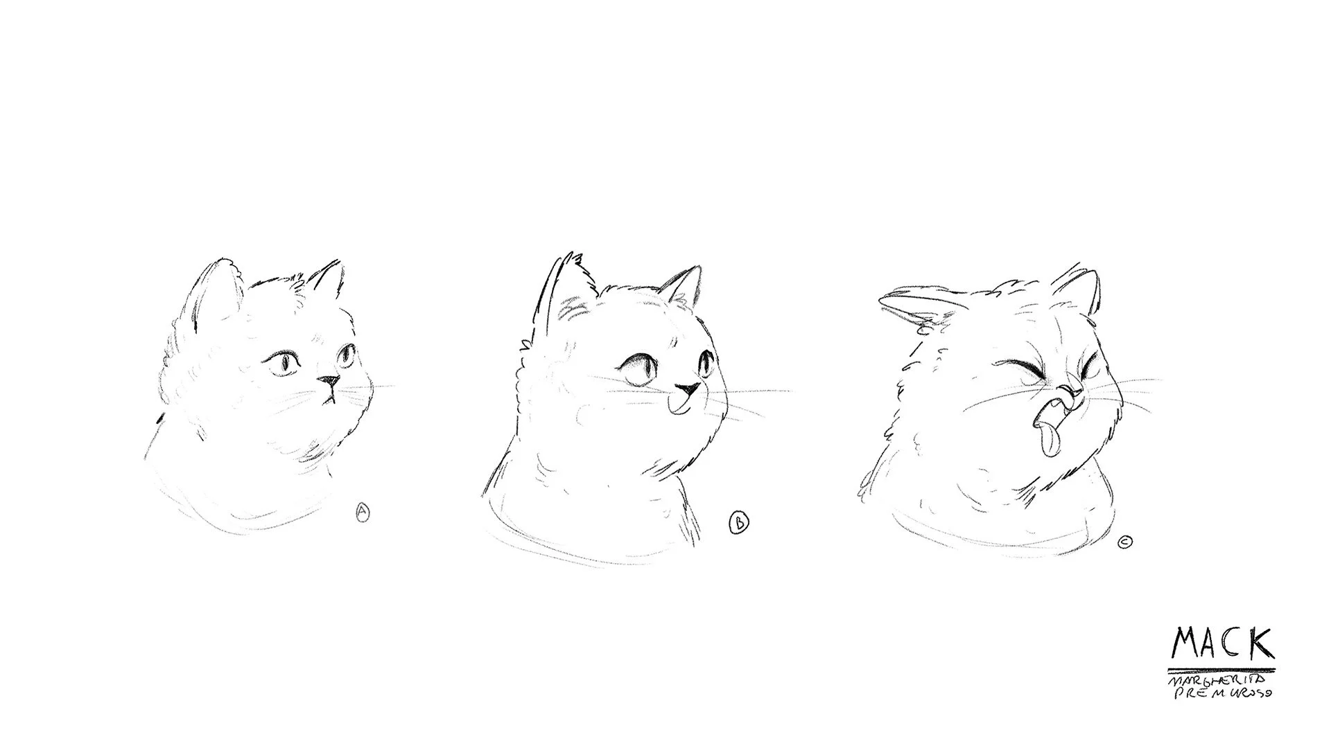 Cat_Facial_1.jpg
