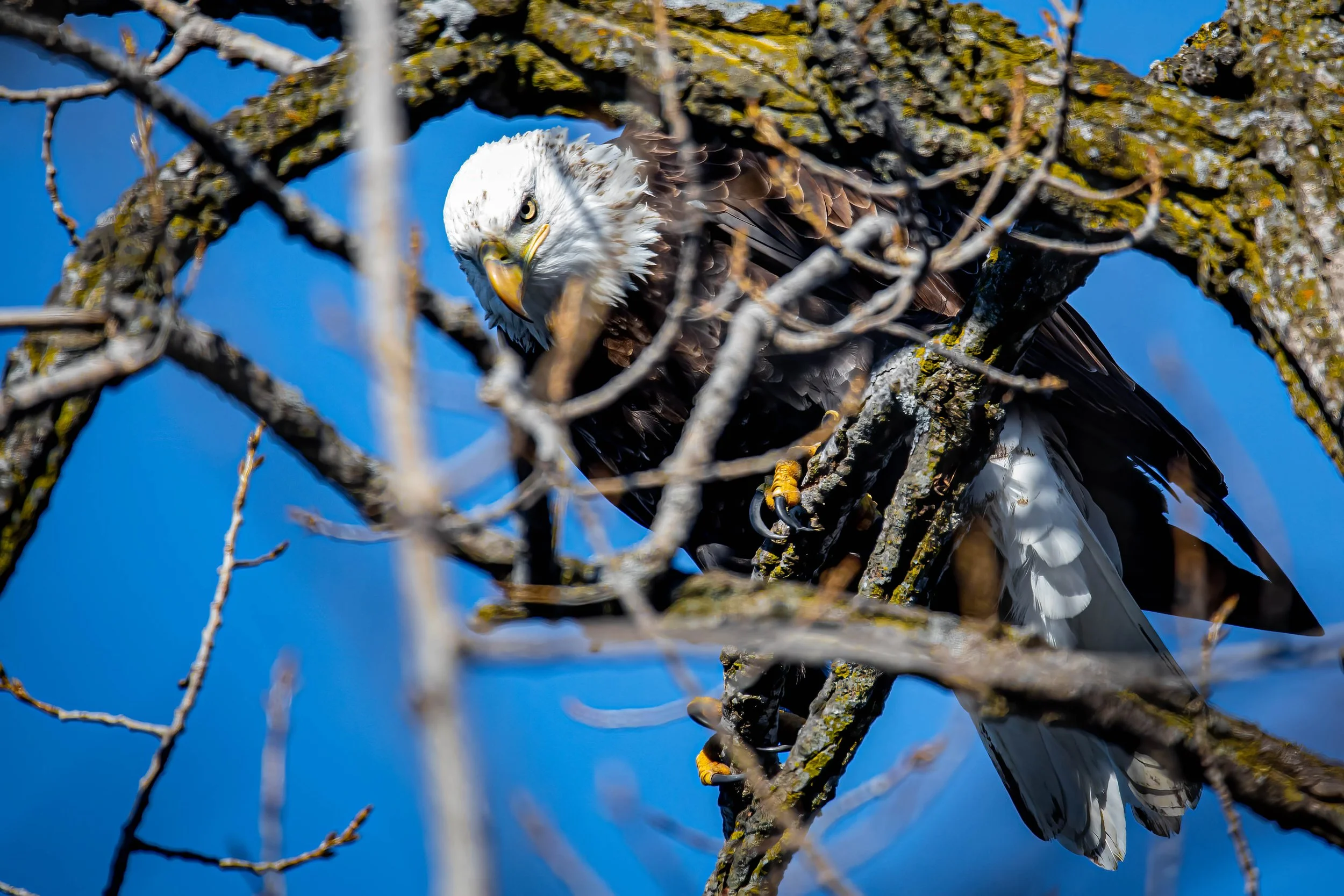 NN1A2907-Edit.jpg