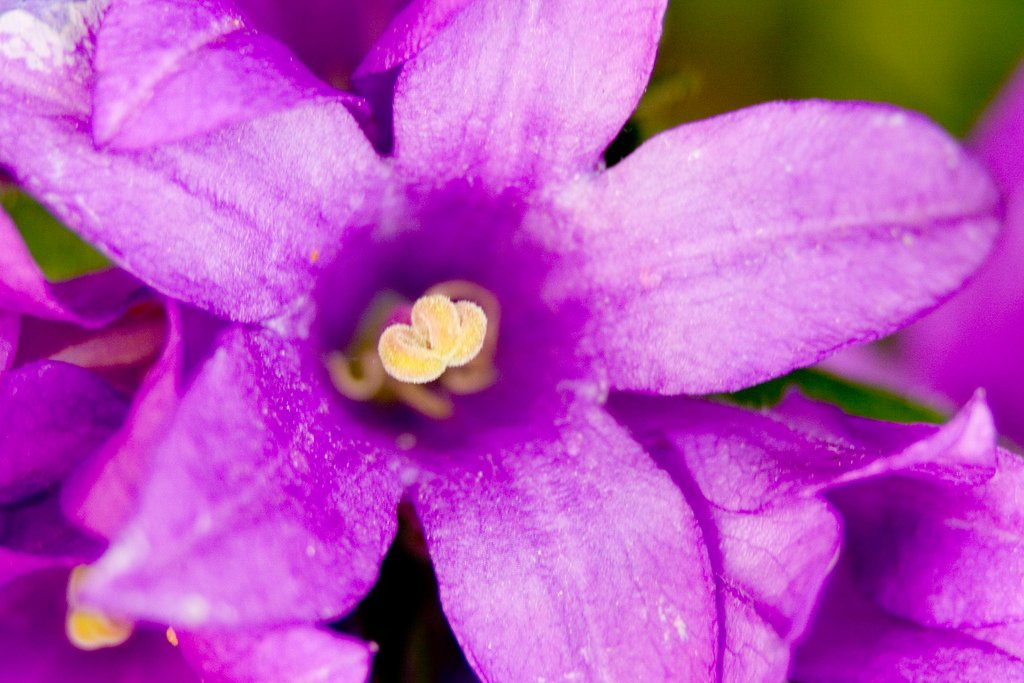 CRW_4588.jpg