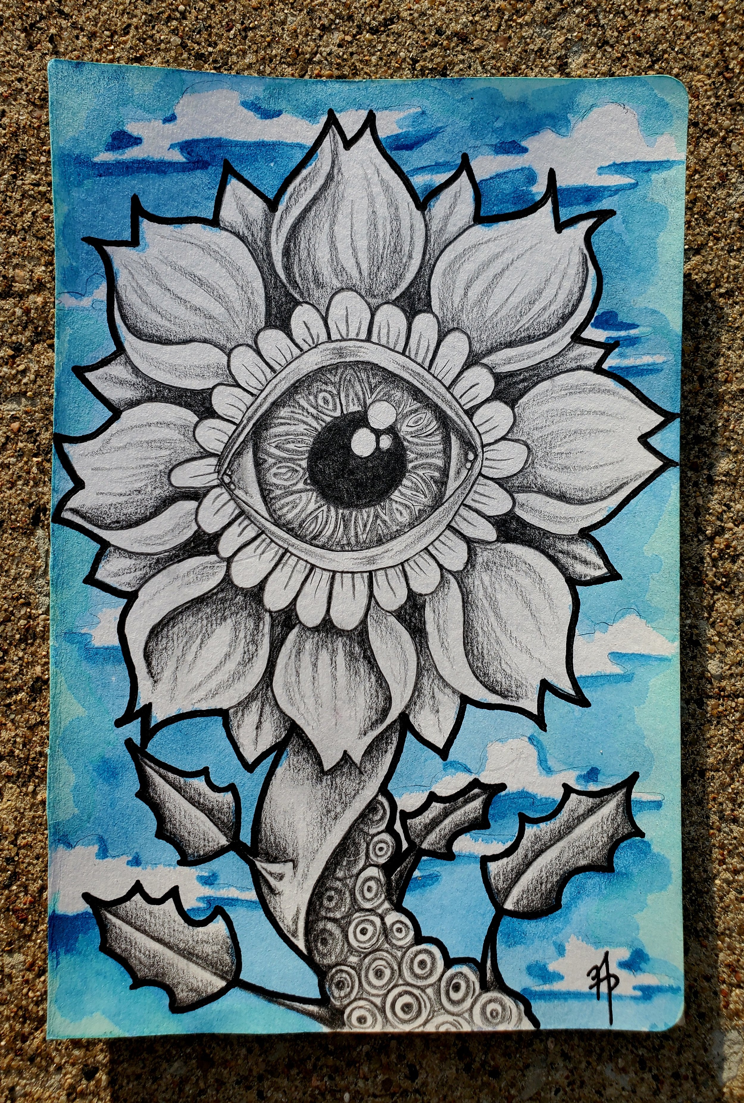 20221002_170521 - Ann Marie.jpg