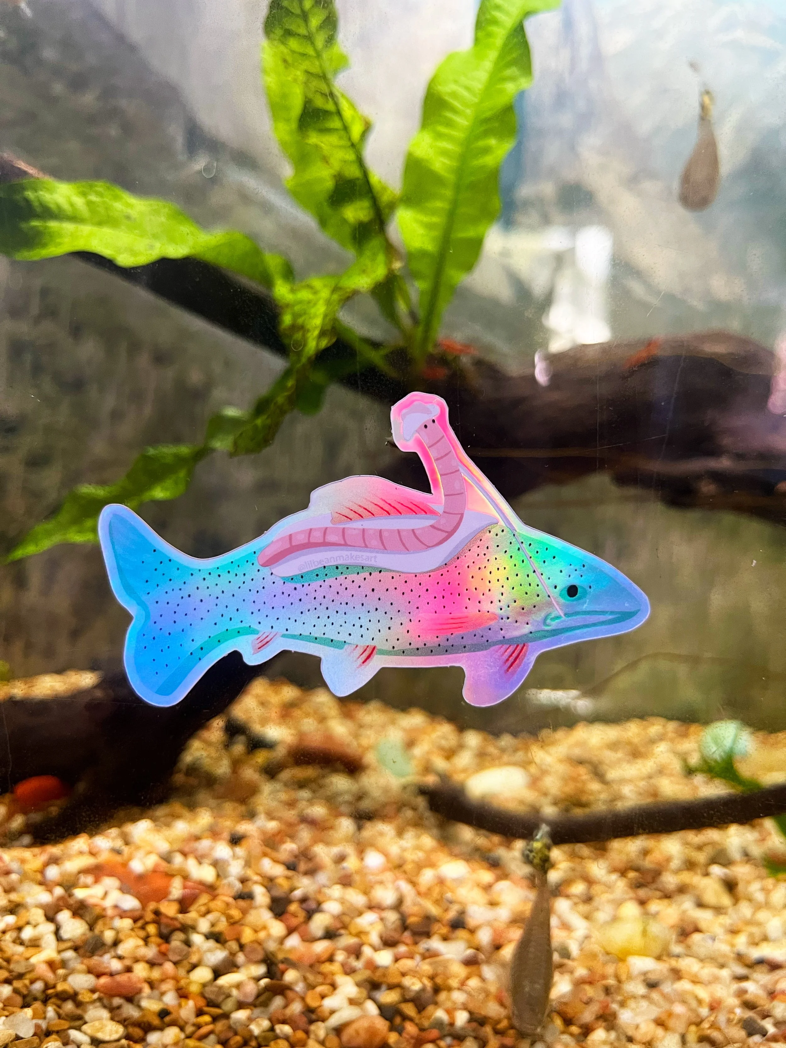 fish_pic.jpg